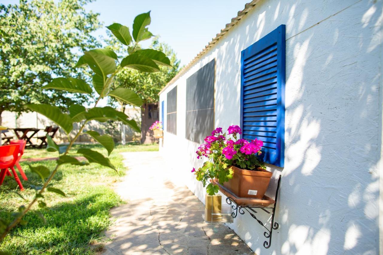La Conac Apart otel Arad Dış mekan fotoğraf