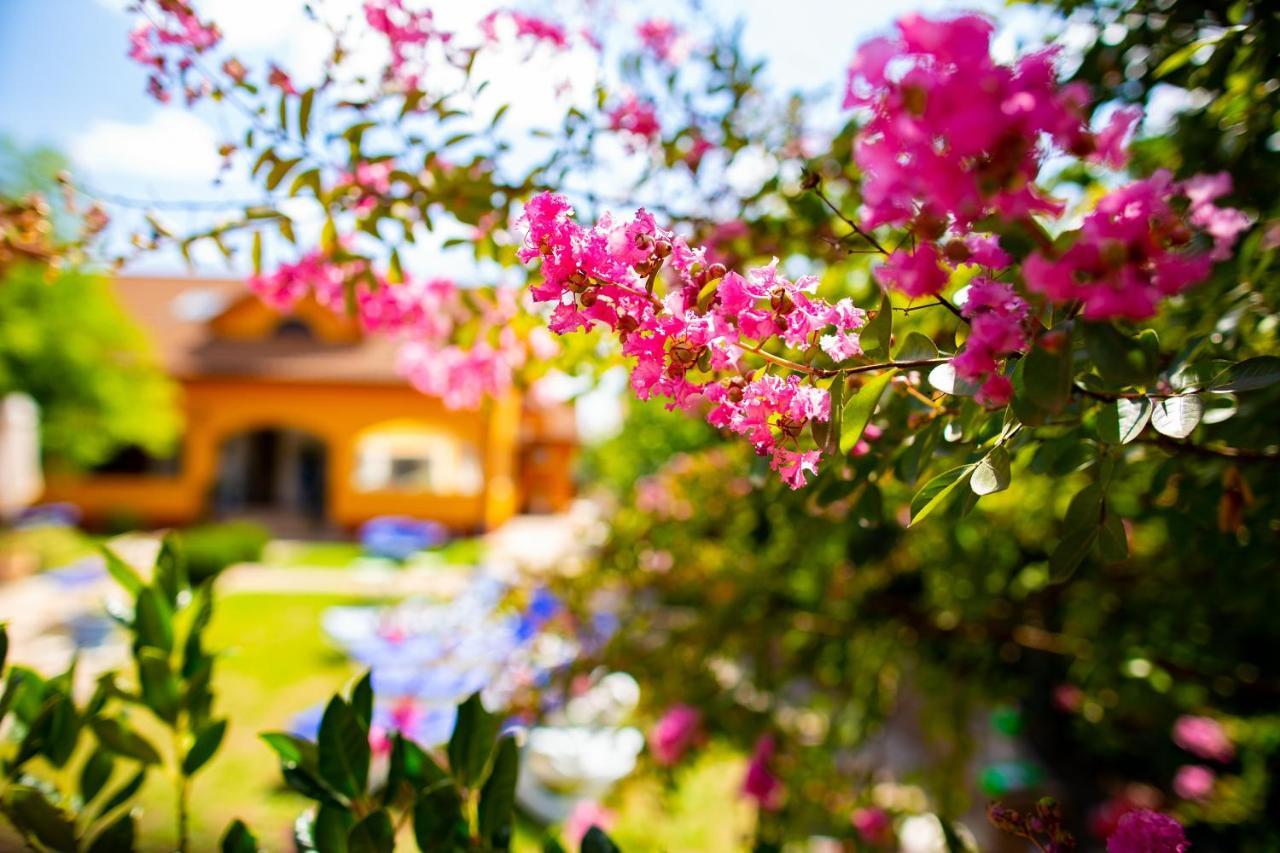La Conac Apart otel Arad Dış mekan fotoğraf