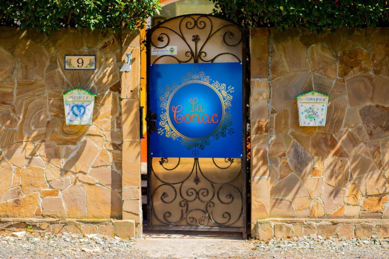 La Conac Apart otel Arad Dış mekan fotoğraf