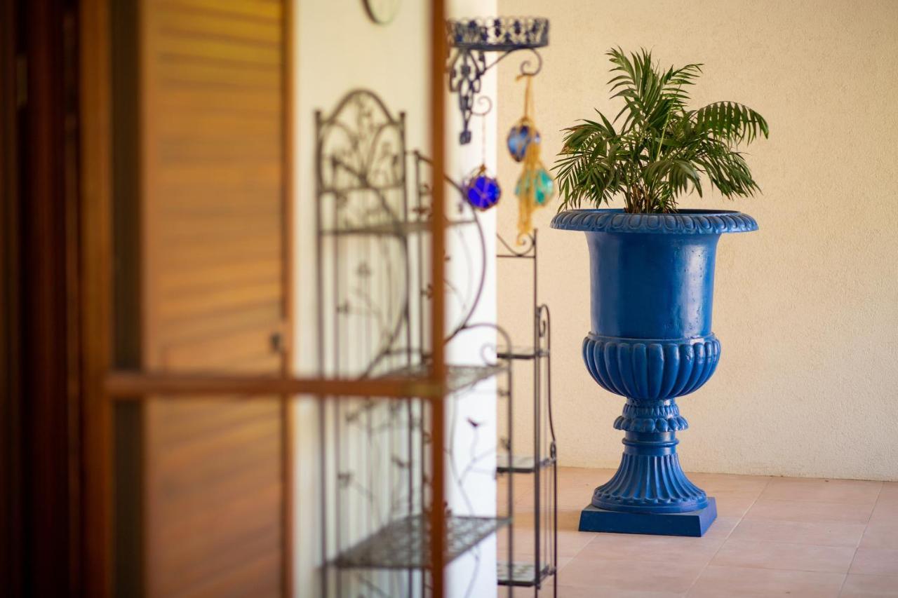 La Conac Apart otel Arad Dış mekan fotoğraf
